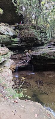 20261012_114256.jpg