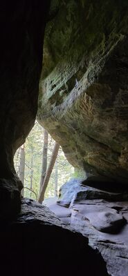 20261012_130901.jpg