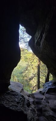 20261012_130918.jpg