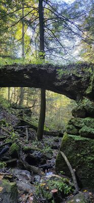 20261012_131847.jpg