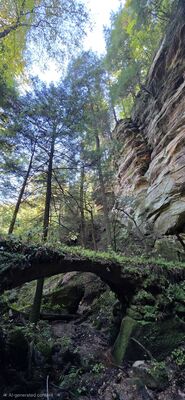 20261012_131936(1).jpg