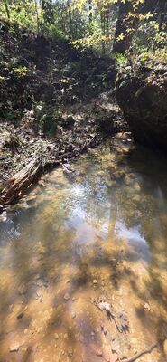 20261012_141957.jpg