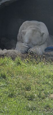 20261013_110313.jpg