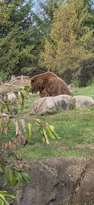 20261013_110836.jpg