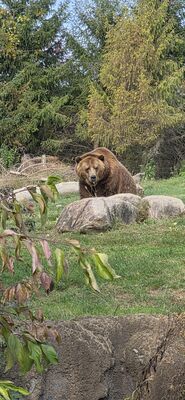 20261013_110839.jpg