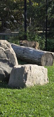 20261013_111905.jpg