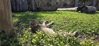20261013_112146.jpg