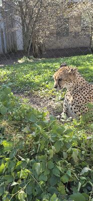 20261013_112336.jpg