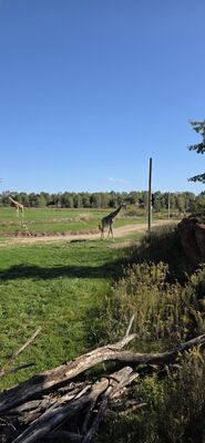 20261013_112506.jpg
