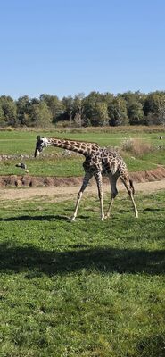 20261013_112535.jpg