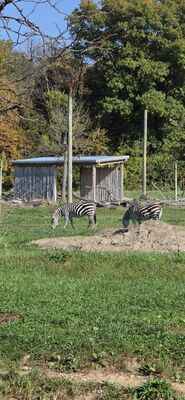 20261013_113401.jpg