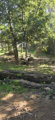 20261013_114217.jpg