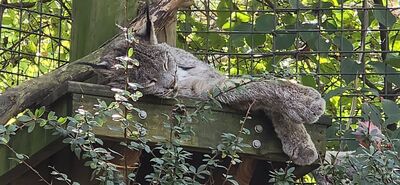 20261013_114315.jpg