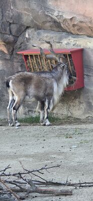 20261013_123313.jpg
