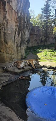 20261013_123510.jpg