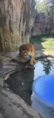 20261013_123552.jpg