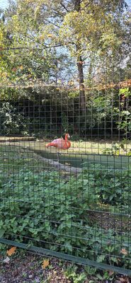 20261013_125334.jpg
